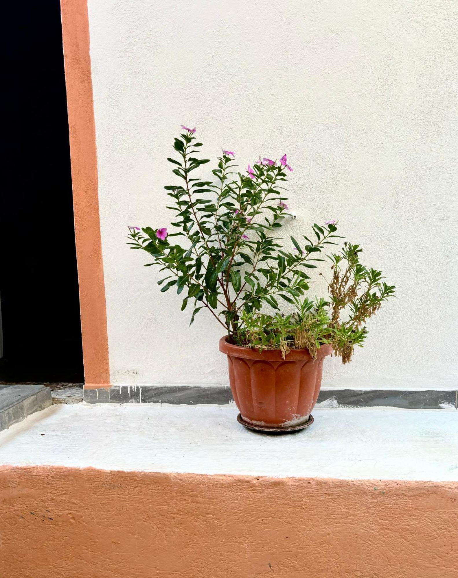 Traditional Corfiot House Perivólion Exterior photo