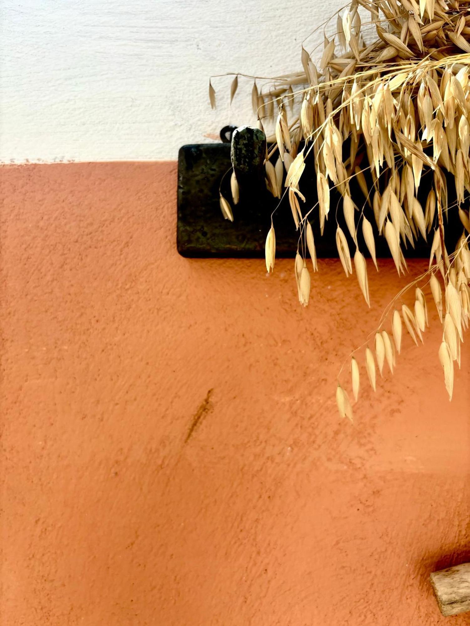 Traditional Corfiot House Perivólion Exterior photo